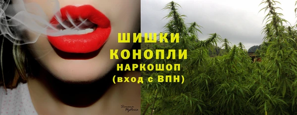 бошки Гусев