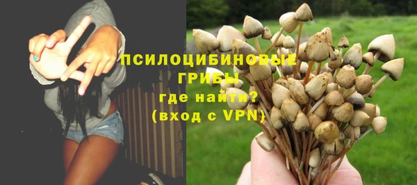 бошки Гусев