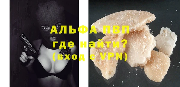 бошки Гусев