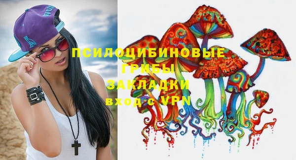 бошки Гусев