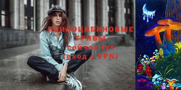 хмурый Гусиноозёрск