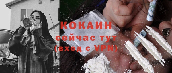 бошки Гусев