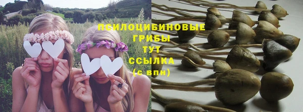 бошки Гусь-Хрустальный